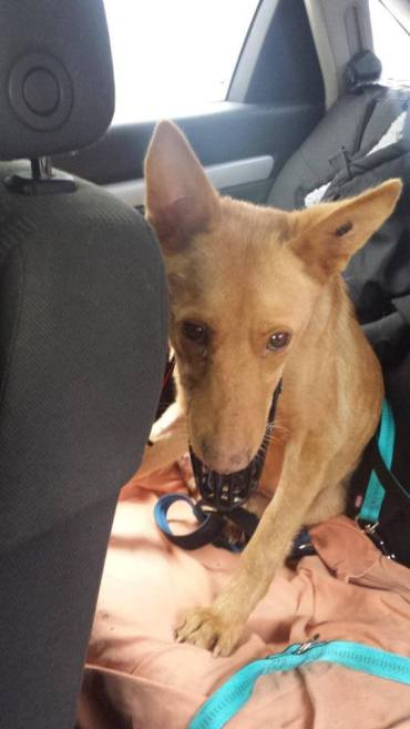 941479_616349358431962_137288013_n