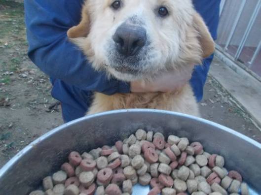 1239691_625606717506226_1937394430_n