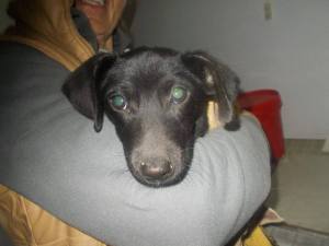 1525110_604297222970509_1417767650_n